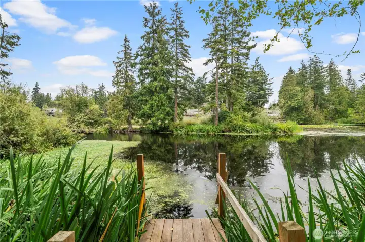 Personal dock overlooking the island community park.