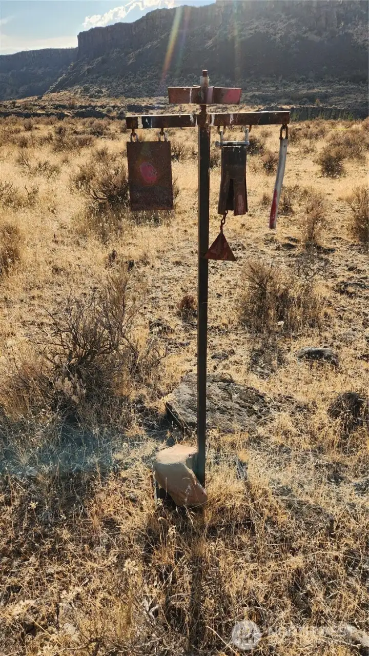 Custom made BB Gun Target. Look at that VIEW!