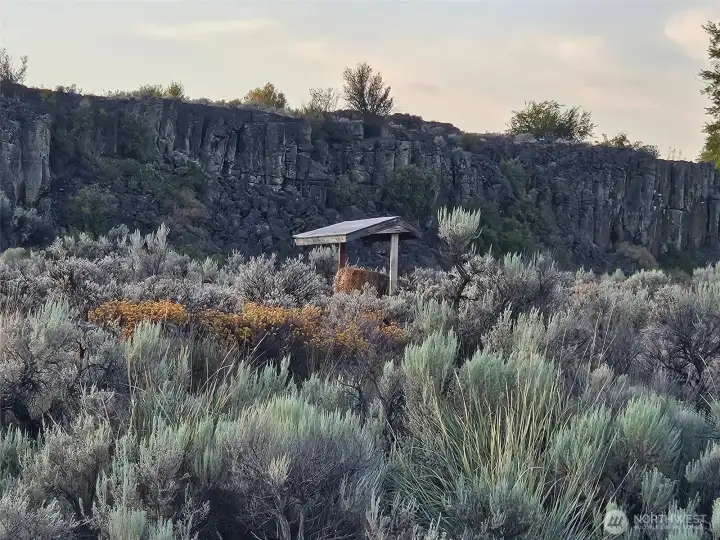 Bow Practice Targets - Great hunting lands around here