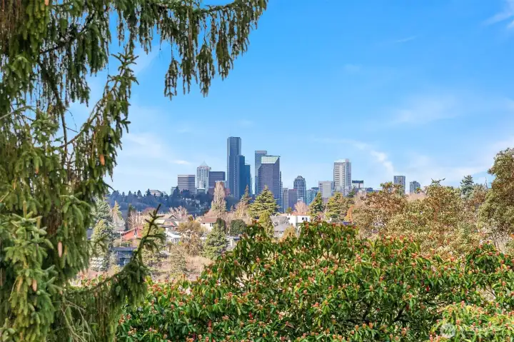 view from upstairs office
