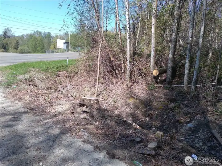 Tree delineation and topo complete