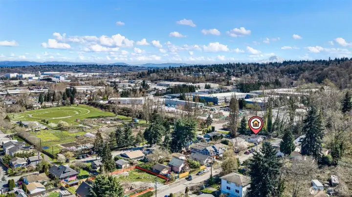The P-Patch plots at Marra Farm, one block from the front door. Community farm, garden plots, park space — and Rainier on the horizon when the weather cooperates.