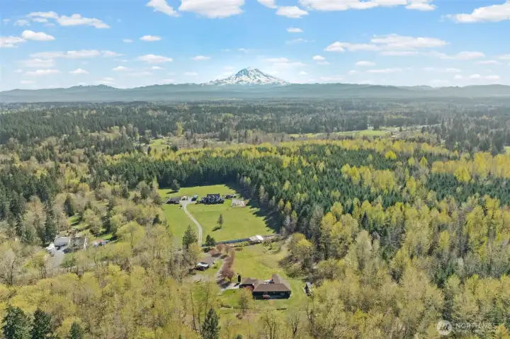 Mt Rainier views if logging land get logged
