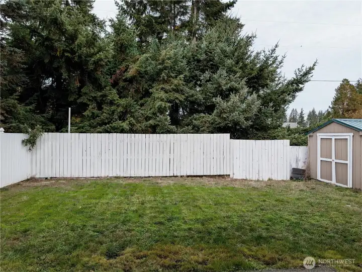 View of the backyard from the family room