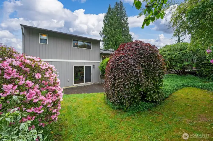 Back yard with mature landscaping