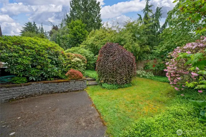 Lush and green and private