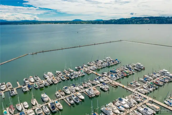 Aerial marina and Drayton Harbor