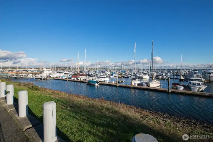 Walking areas around Marina