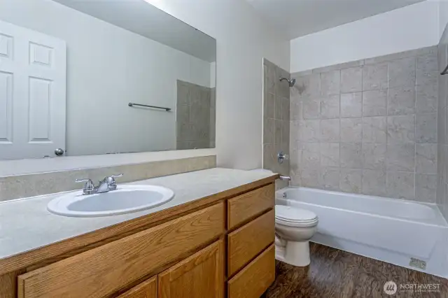 Lower- level bathroom