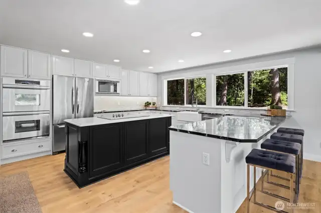 Gorgeous chef's kitchen