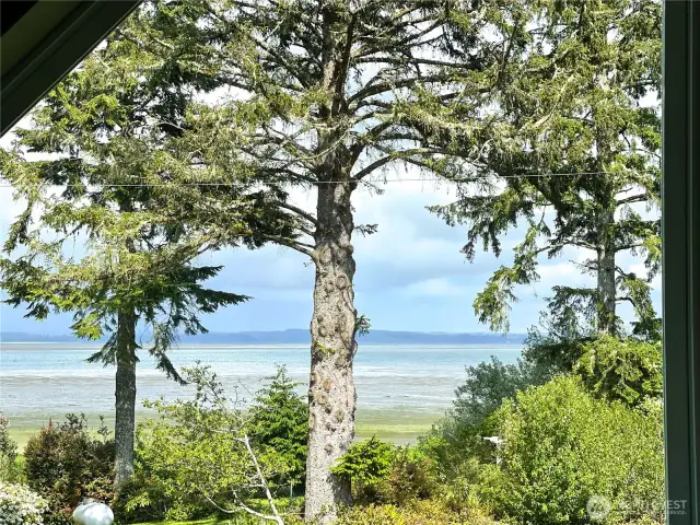 View from upstairs