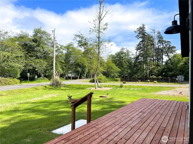 Front porch