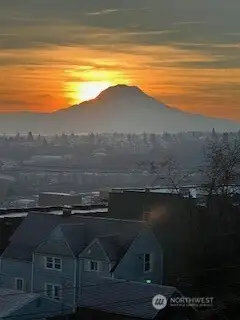 Your view for every season..."Her Majesty" Mt Rainier