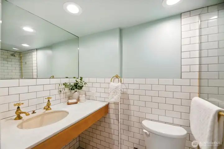 Lower level bathroom