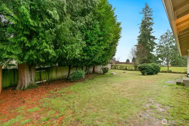 The large backyard is fully-fenced and has mature trees along the back fence.