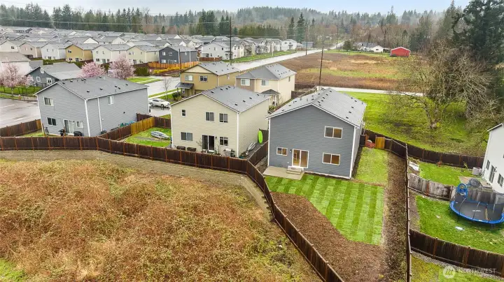 New sod in the back yard and fresh landscaping ready for spring.