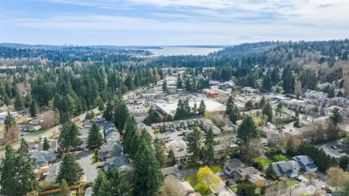 Prime location next to Safeway and neighborhood shopping! Plus, it's on a bus line!