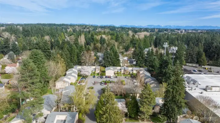 No assessments owed or pending!