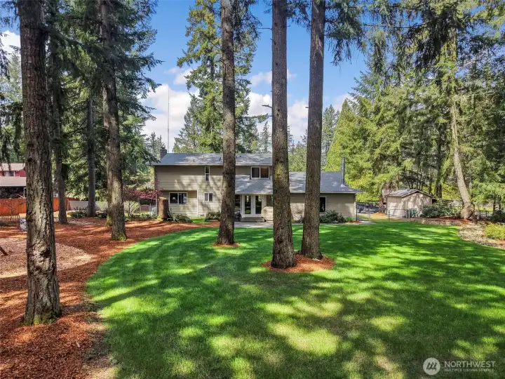 Welcome to the park like back yard - so many features here to see!