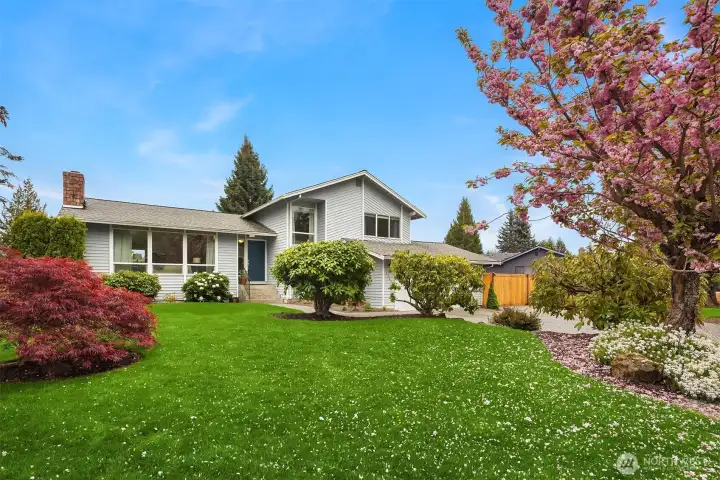 A beautiful, landscaped property and amazing backyard take center stage in this sunny, spacious tri-level home in Newcastle