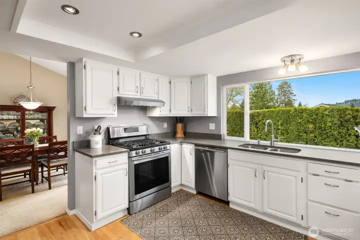 Beautifully updated kitchen with all stainless steel appliances, quartz counter tops, overlooking the peaceful backyard and access to the huge family room on the lower level
