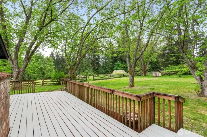 back deck off sunroom