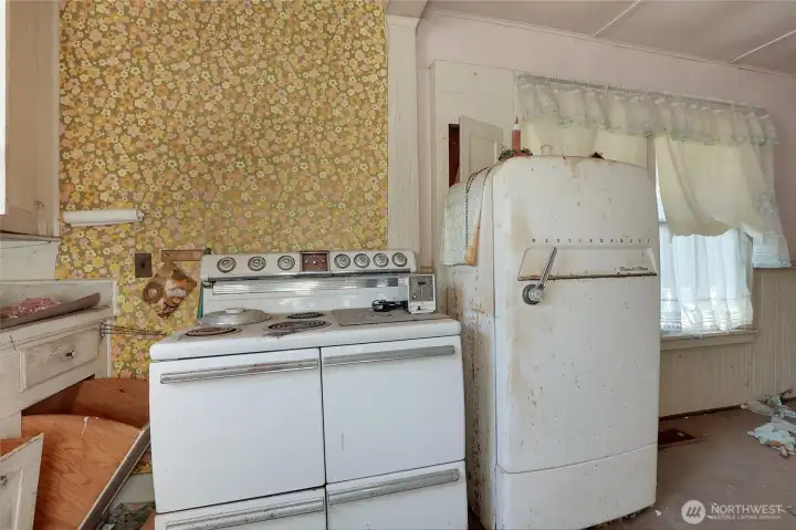 Kitchen Appliances - older than them there hills.