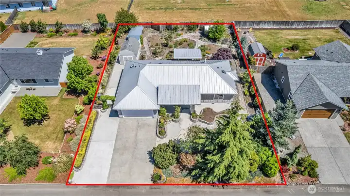 Overview of the garden and landscaping