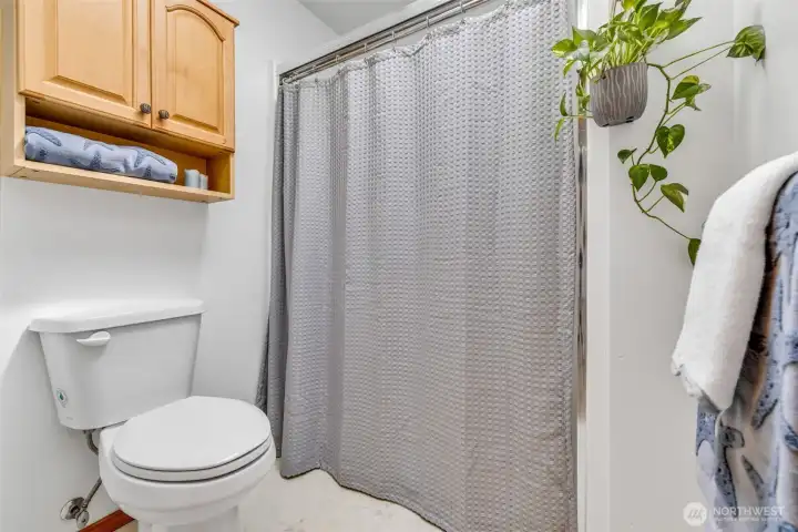 Primary Shower