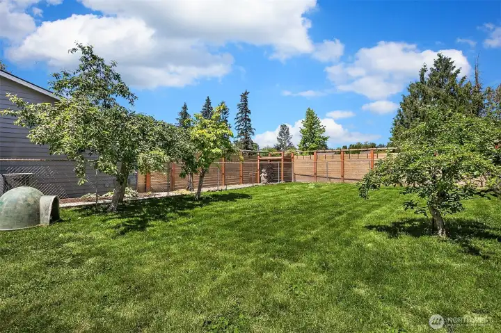 Full fenced yard off main house with dedicated garden spaces Full fenced yard off main house with dedicated garden spaces