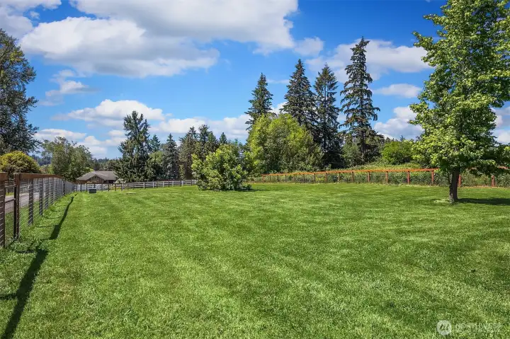 Large front pasture Large front pasture