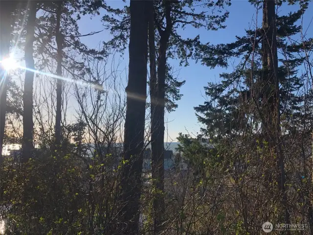 Spectacular western views with sunsets, Terrell Creek bordering property, central location to public beaches, Birch Bay State Park, boating, plus water activities including kayaking with creek to bay access.