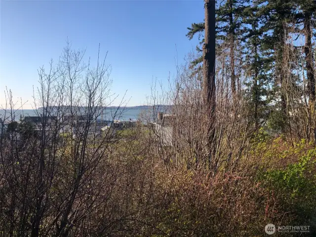 Spectacular western views with sunsets, Terrell Creek bordering property, central location to public beaches, Birch Bay State Park, boating, plus water activities including kayaking with creek to bay access.