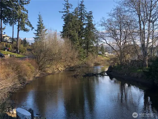 Spectacular western views with sunsets, Terrell Creek bordering property, central location to public beaches, Birch Bay State Park, boating, plus water activities including kayaking with creek to bay access.