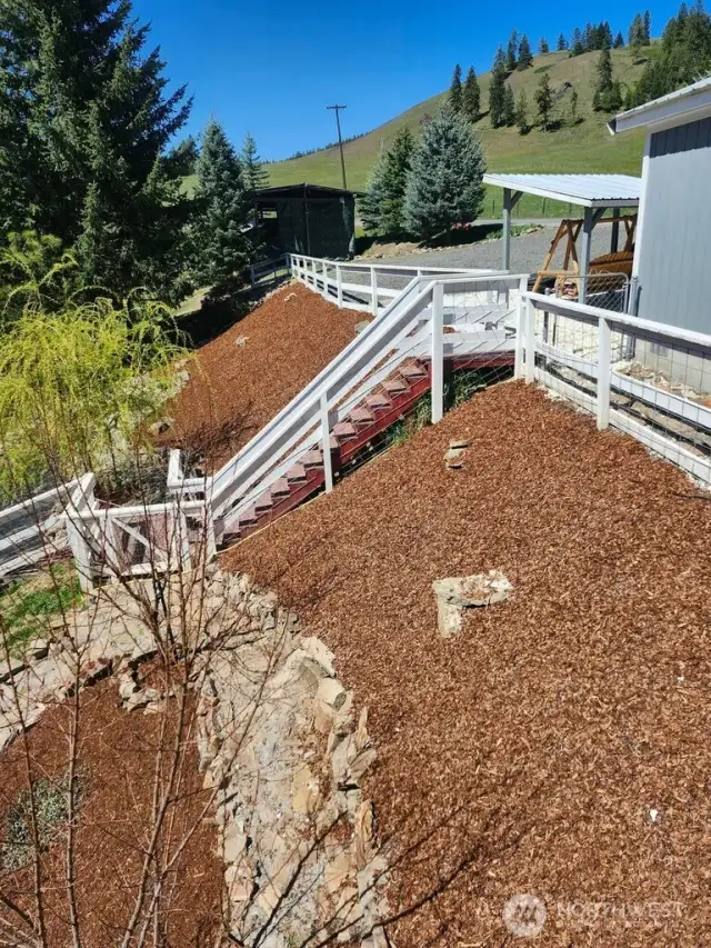 Landscaping and terrace