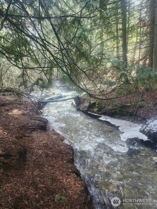 Stranger Creek runs through property