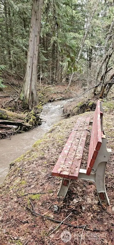 Creek Side Seating
