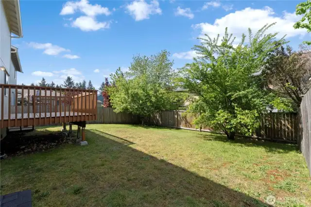 The fully fenced yard is perfect for your four-legged friends!