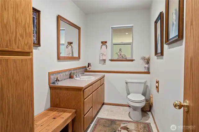 Lower level bathroom