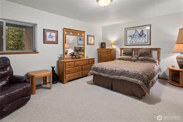 Lower level bedroom