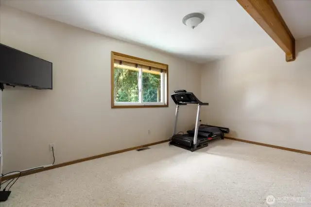2nd downstairs bedroom