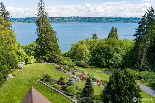 Head down the lawn to the towering cedar tree.