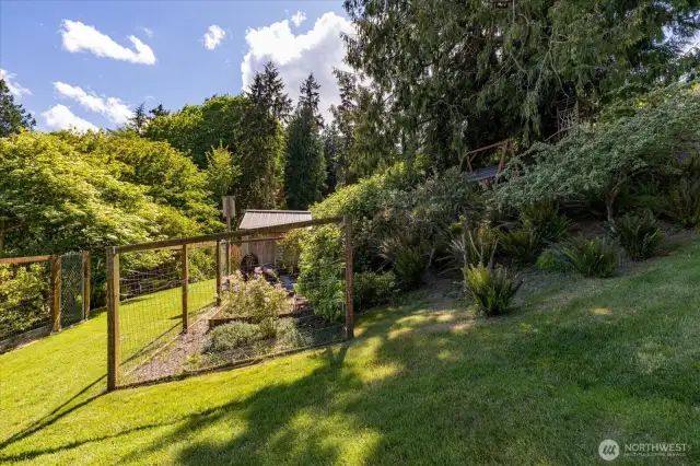 Below the swing are two fully fenced gardens with an orchards worth of fruit trees and berry plants.
