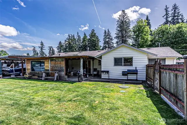 Back Yard