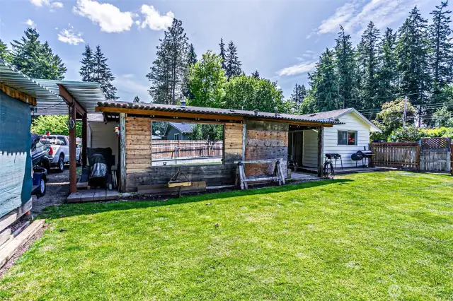 Back Yard