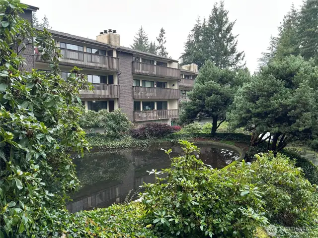 Peaceful  large pond  steps from your condo (end right)