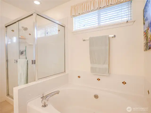 Shower in Primary Bath