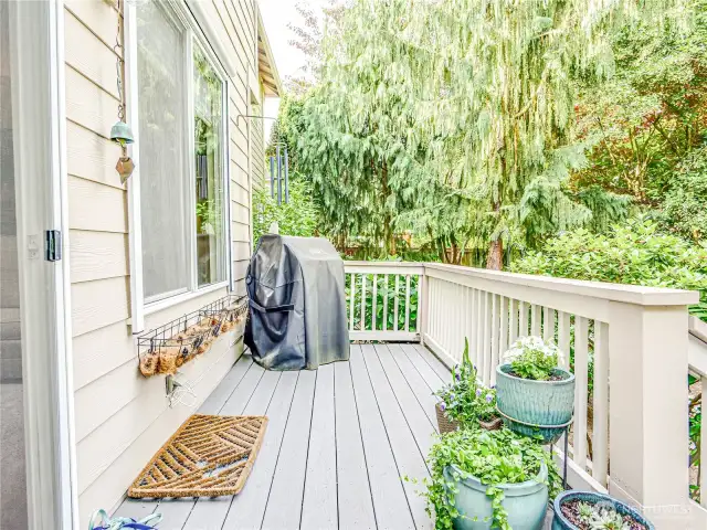 Back Deck off Family Room