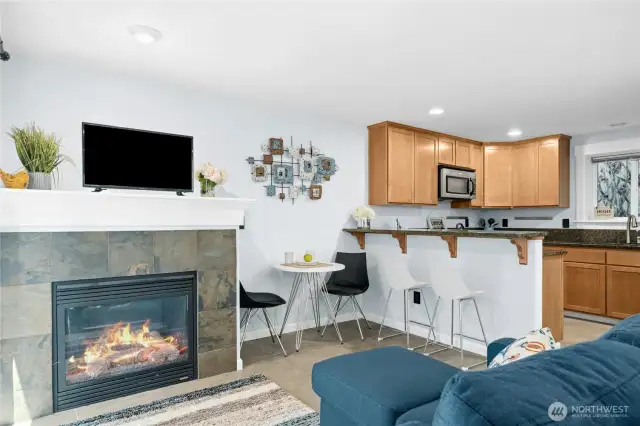 Gas fireplace