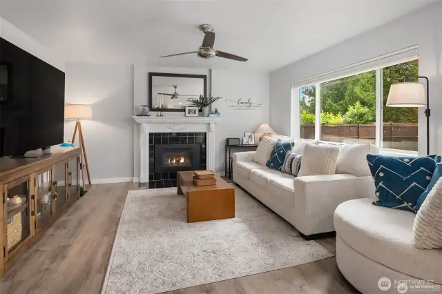 Gas Fireplace